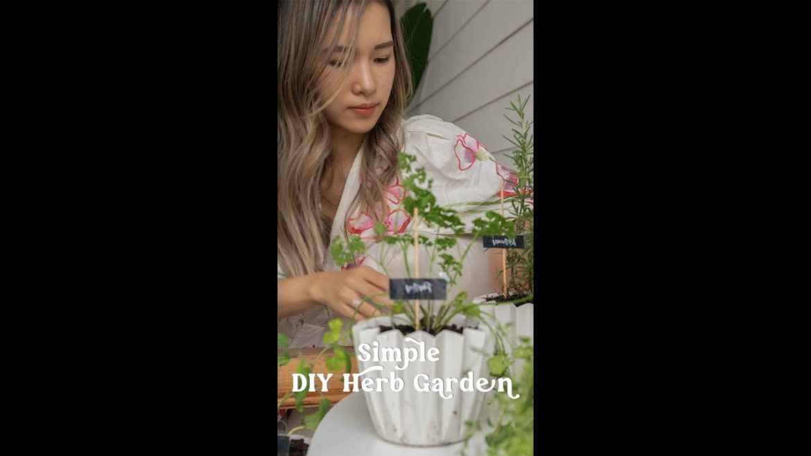Grow an indoor herb garden for endless supply | Simple Gardening #short