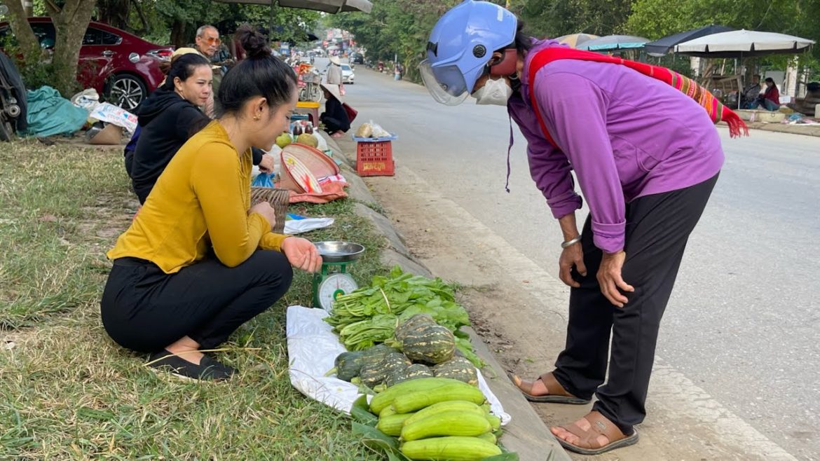 Go to the market to sell melon, squash, vegetables to buy food for the new mother dog Go to the market to sell melon, squash, vegetables to buy food for the new mother dog