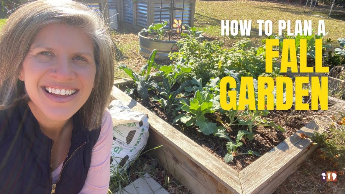 How to Plan a Fall Garden How to Plan a Fall Garden