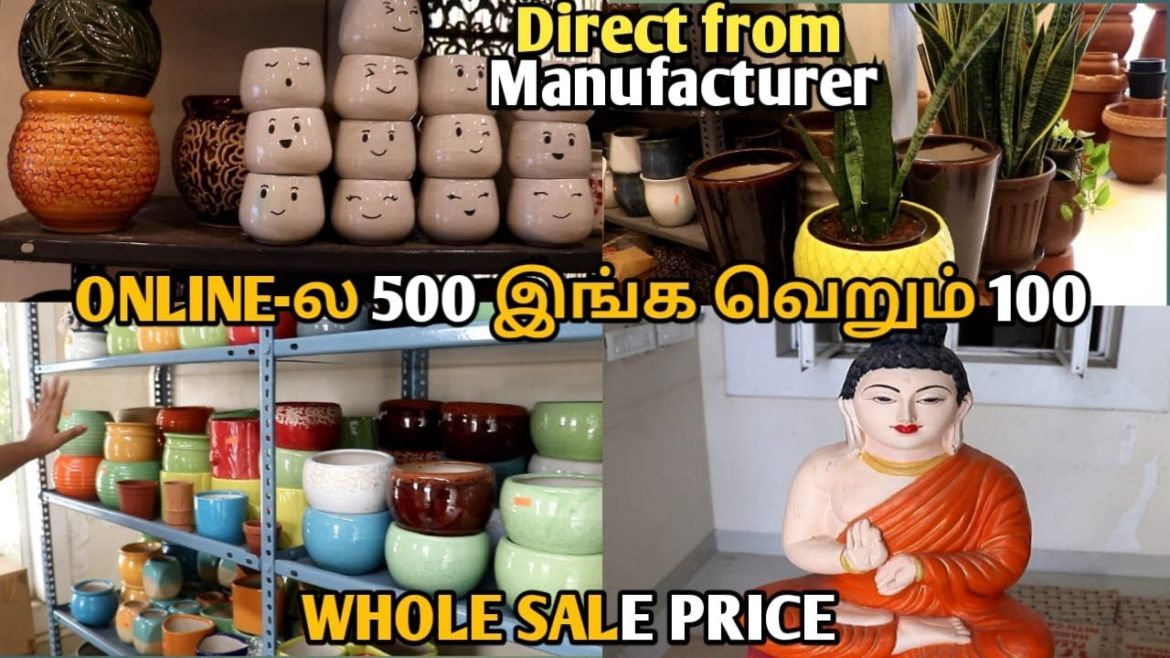 The Gardening accessories in chennai Indoor Plants  Garden makeov Future Tamila