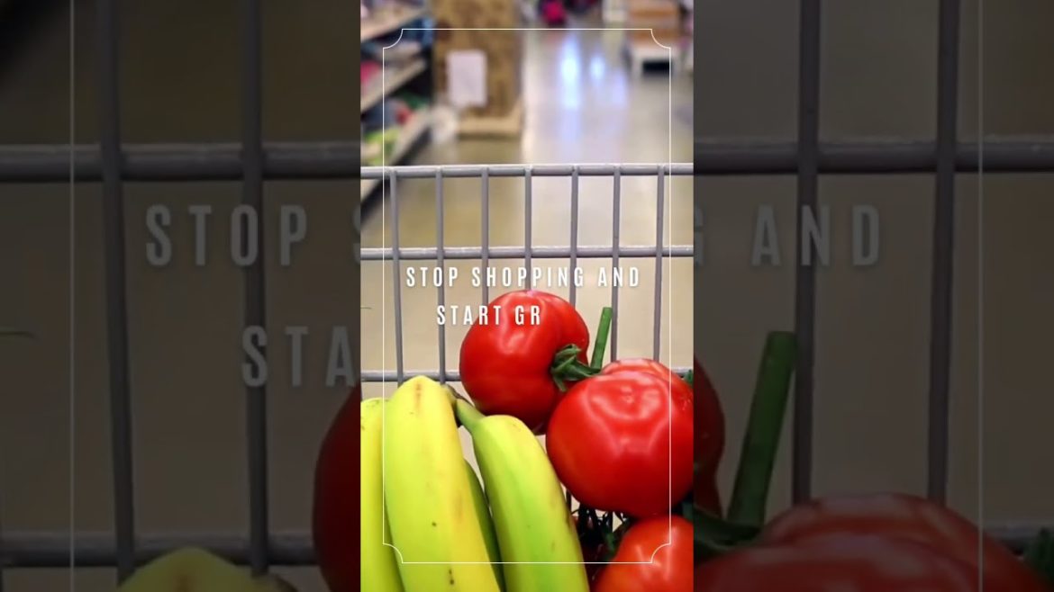 Stop Shopping #shorts #gardening Stop Shopping #shorts #gardening