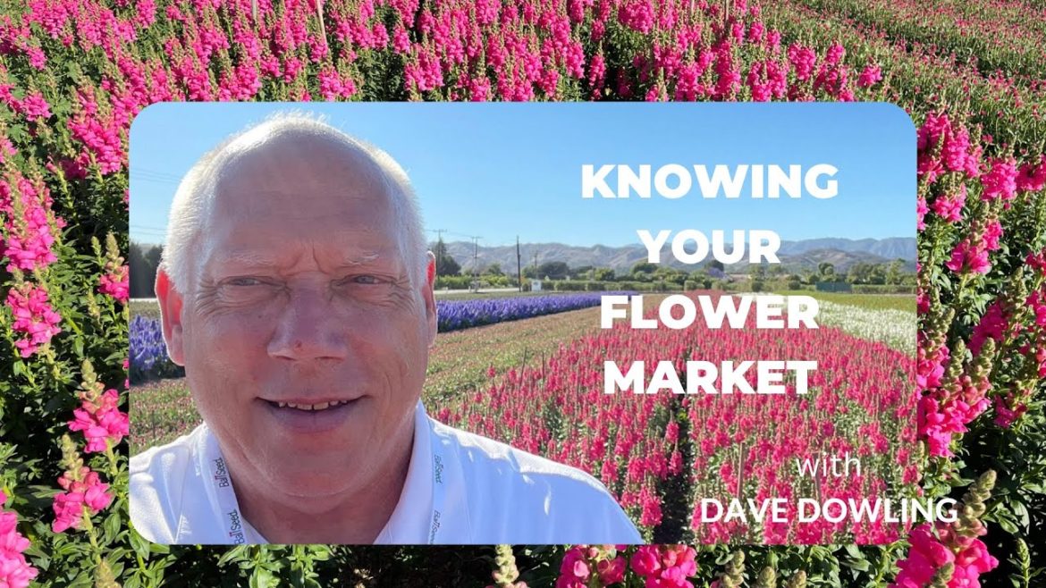 KNOWING YOUR FLOWER MARKET WITH DAVE DOWLING KNOWING YOUR FLOWER MARKET WITH DAVE DOWLING