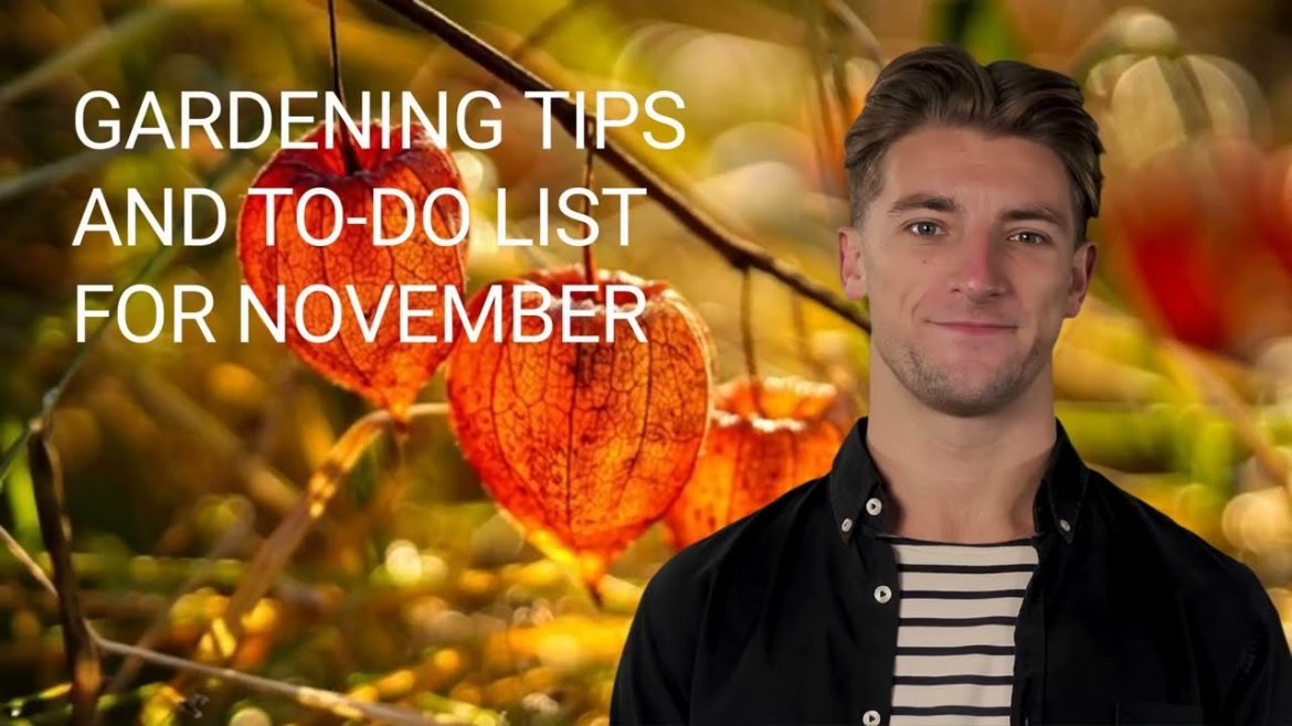 November gardening tips November gardening tips