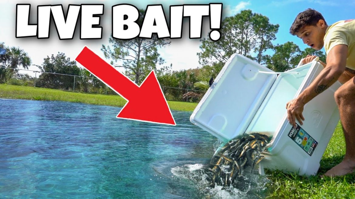 Dumping DOZENS Of FISH Into My BACKYARD POND!!