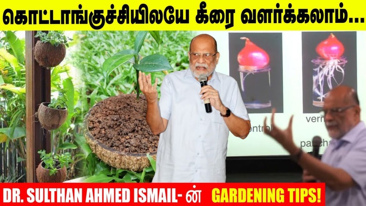 உங்க வீட்டு kitchen-லயே 14 வகையான விதைகள் இருக்கு | Dr. Sulthan Ahmed Ismail-ன் Gardening Tips