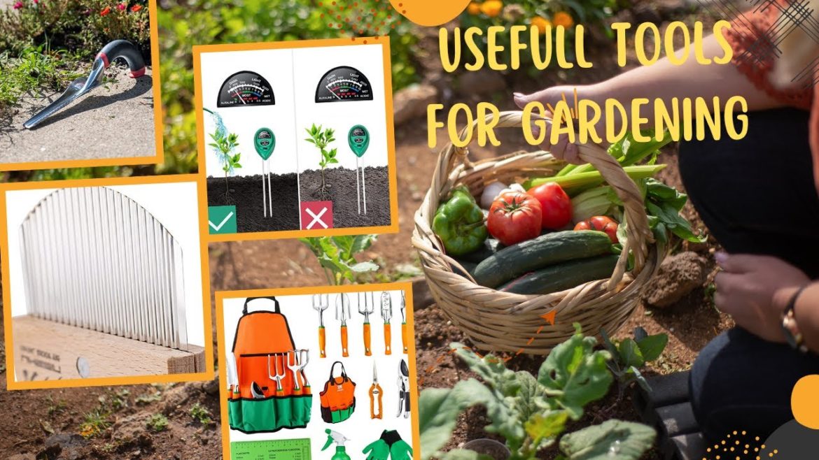Things You Need To Know about Gardening ideas for home | Hilarious Videos About Gardening Tools |