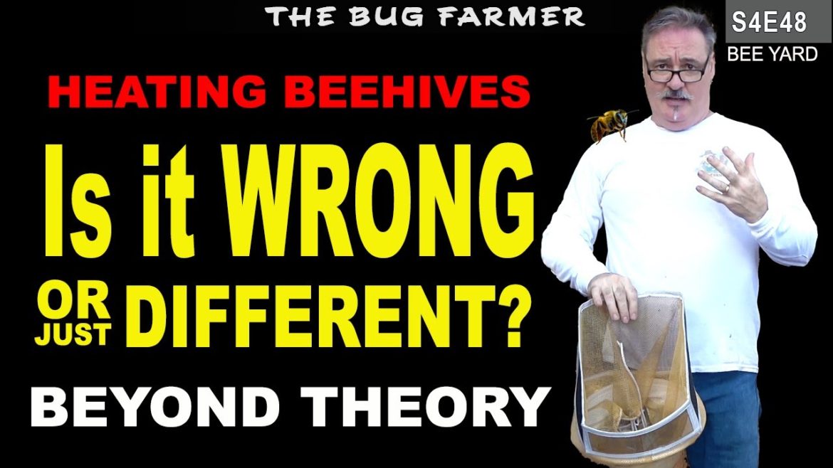 Is It Wrong or Just Different? | All Comments Welcome. #beekeeping #innovation Is It Wrong or Just Different? | All Comments Welcome. #beekeeping #innovation