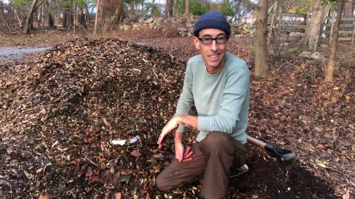Overwintering Chestnut Seed Outdoors