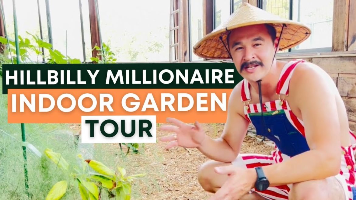 Hillbilly Millionaire INDOOR GARDEN TOUR in 2022 | Smart Indoor Gardening