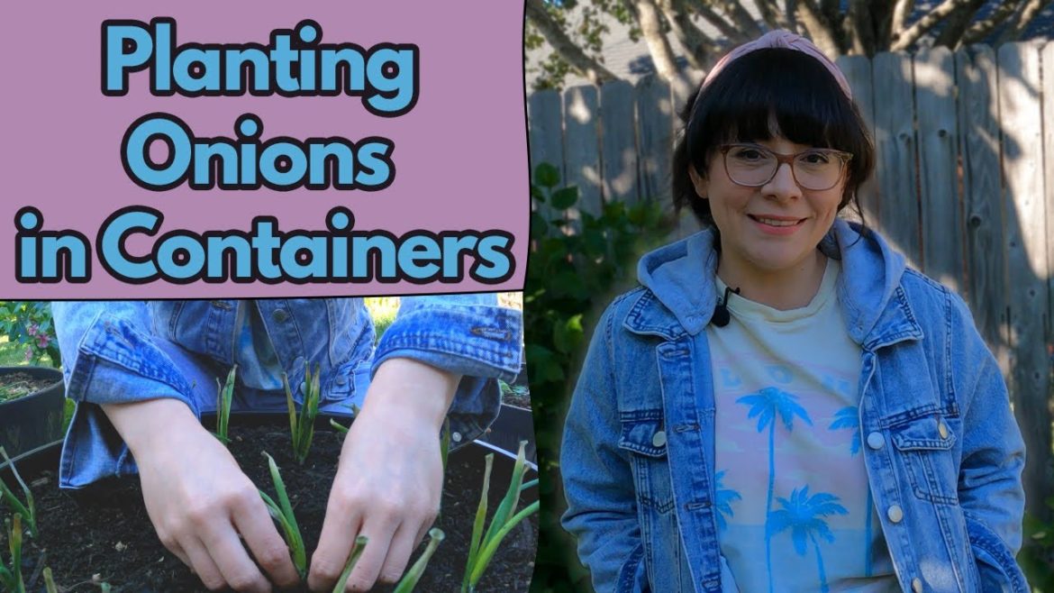 Planting Onions In Containers, My Biggest Onion Mistake      #containergardening #onion