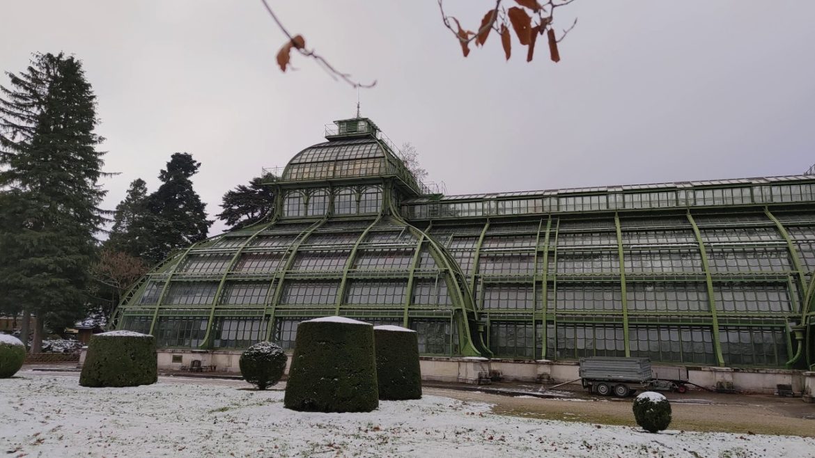 Palm House Snow Rock Garden Kare-san-sui. Trekking Trail Vienna Palmhouse Schloss Schönbrunn Palace