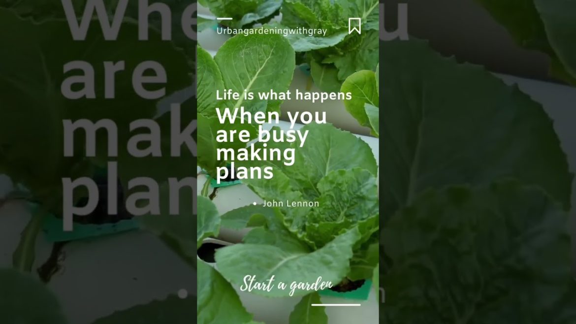 Never run out of FOOD! #shorts