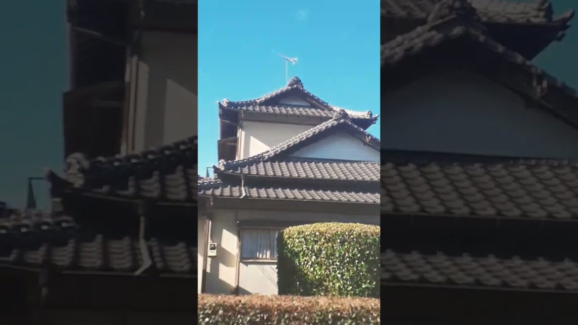 Japanese sculpted garden