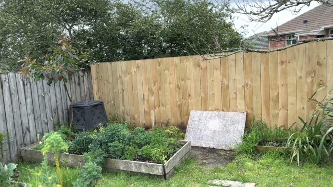 Creating Japanese Garden Part 1