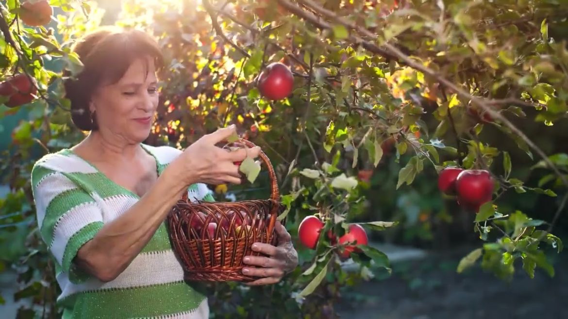 Beginner Gardening Tips in 8 Easy Steps