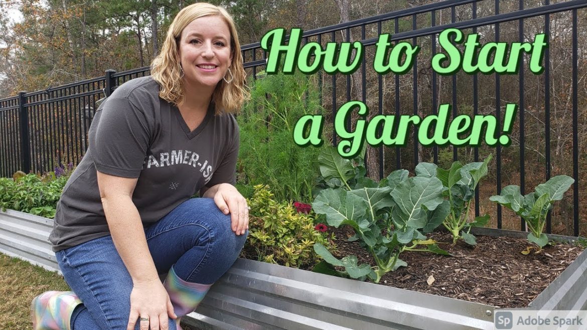 How to Start a Garden! Tips and Guidance to be Successful in 2021 How to Start a Garden! Tips and Guidance to be Successful in 2021