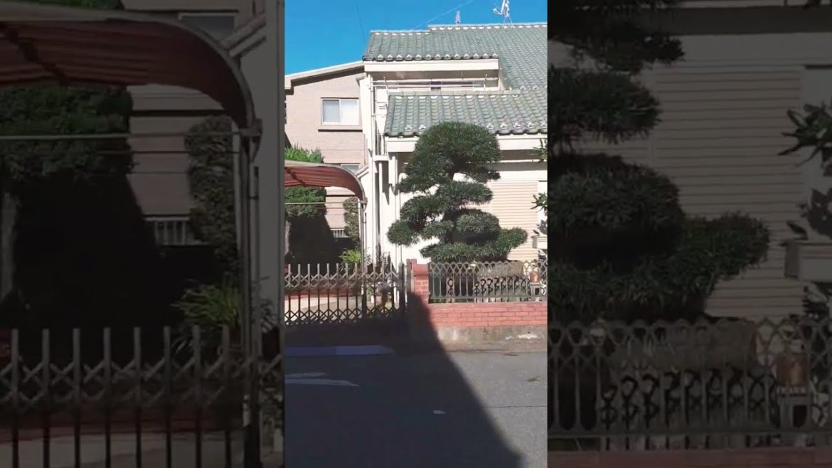 Japanese designed house Japanese designed house