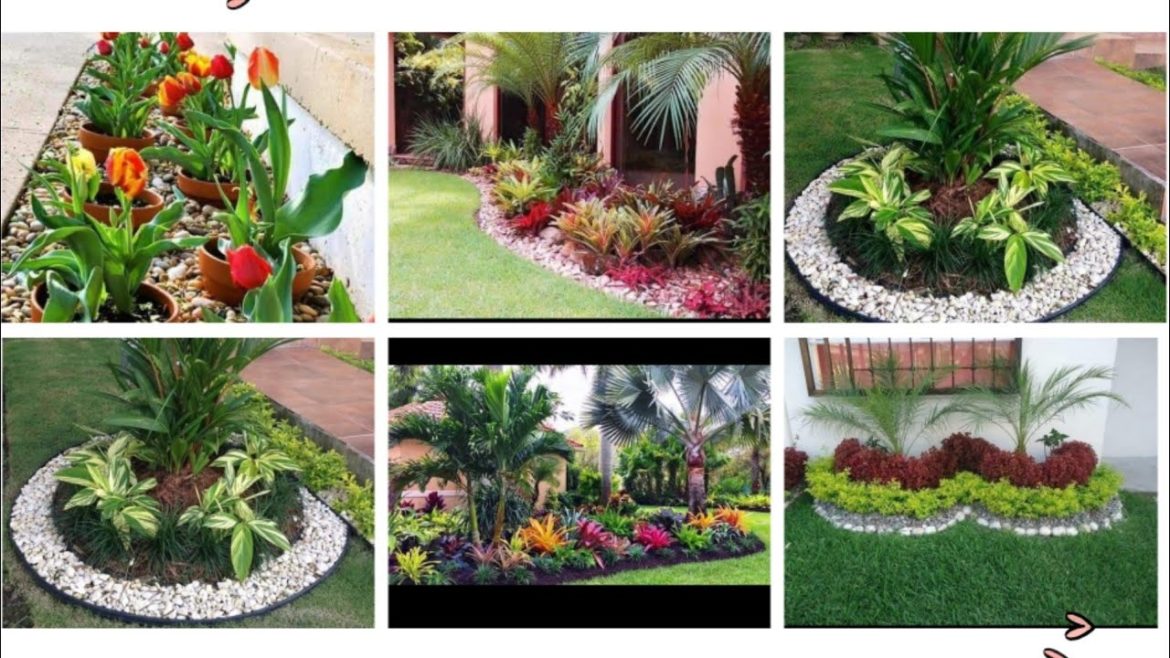 Beautiful Small Garden Designs Ideas/ Beautiful small Garden