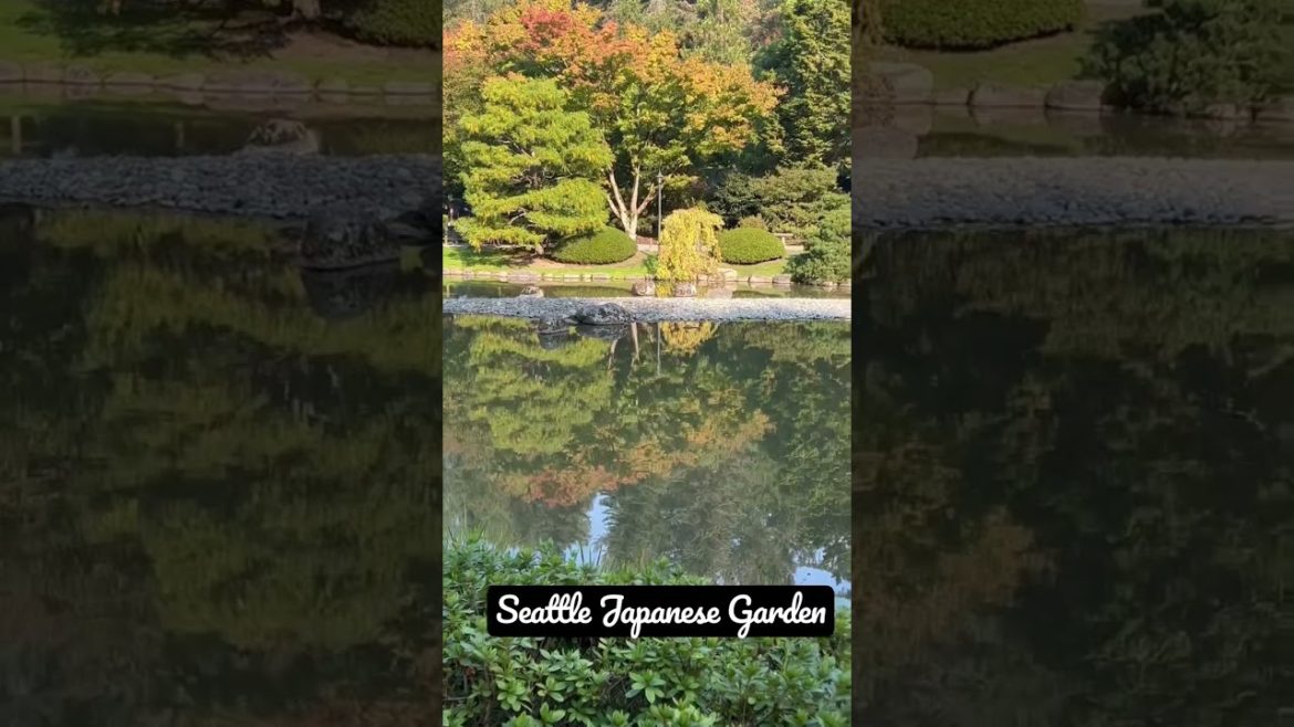 Japanese Garden Seattle | Things to do in Seattle