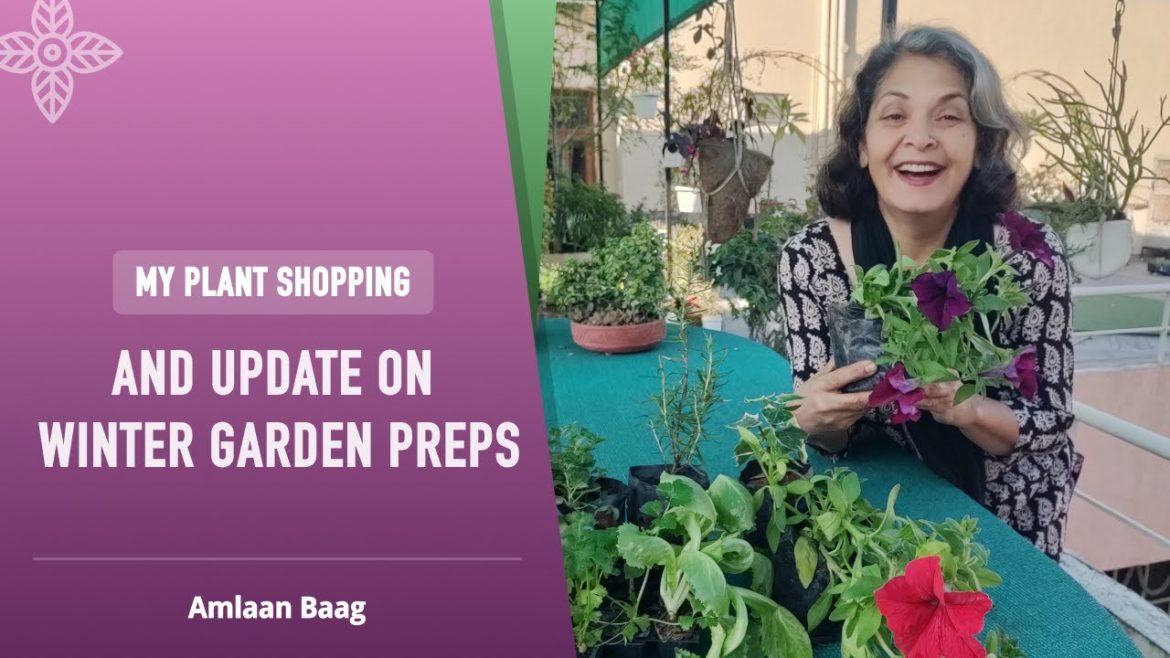 My Plant Shopping & Update Of Winter Garden Preparations