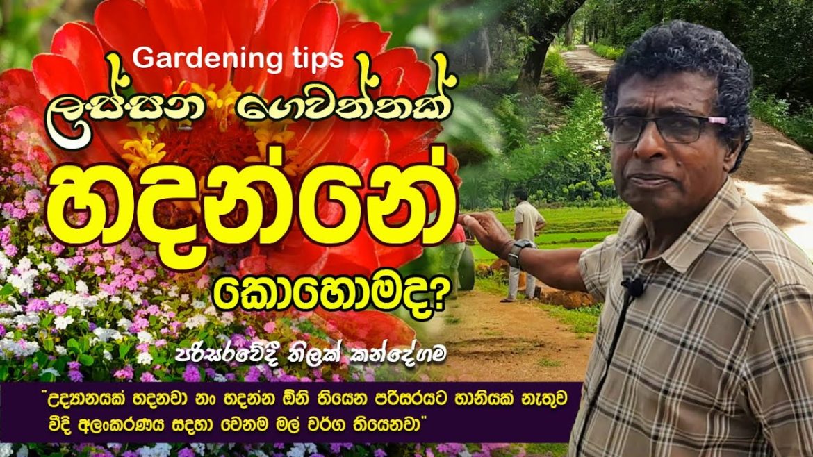 ලස්සන ගෙවත්තක් හදන්නේ කොහොමද? - තිලක් කන්දේගම / Gardening tips @Thilak Kandegama - තිලක් කන්දේගම
