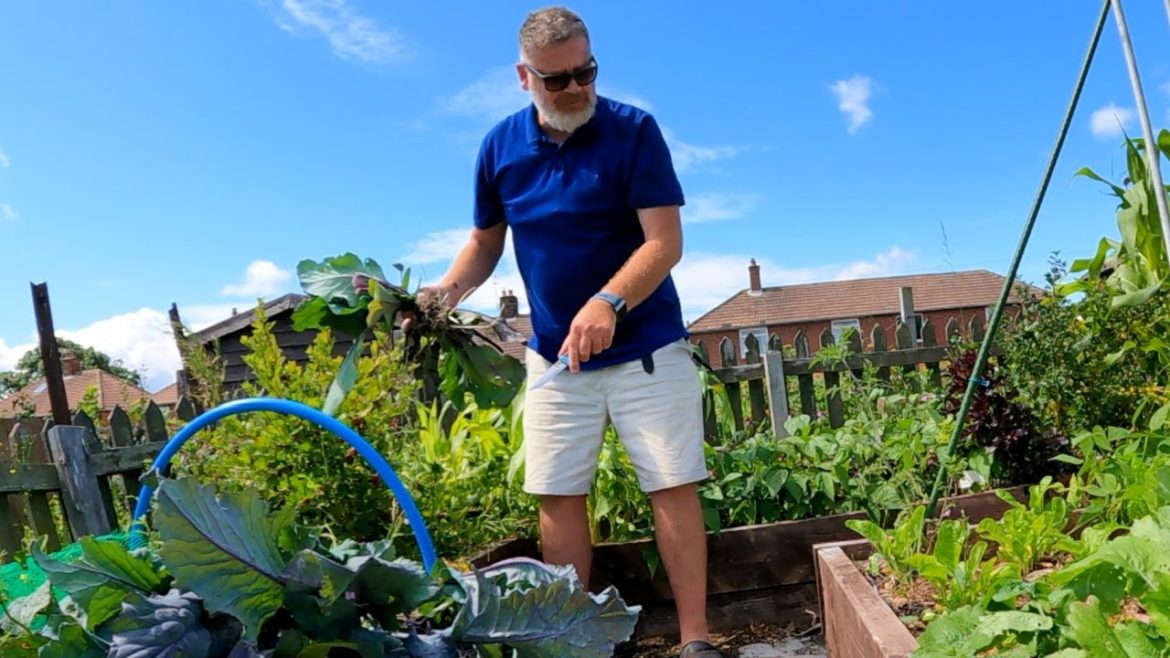 This Is What I Was Doing Wrong | Allotment Gardening With Tony