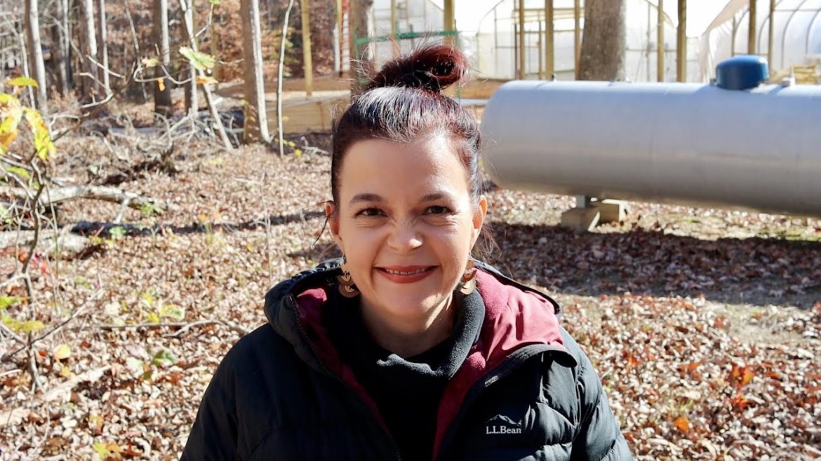 Construction Update & I Need Your Ideas | Gardening with Creekside