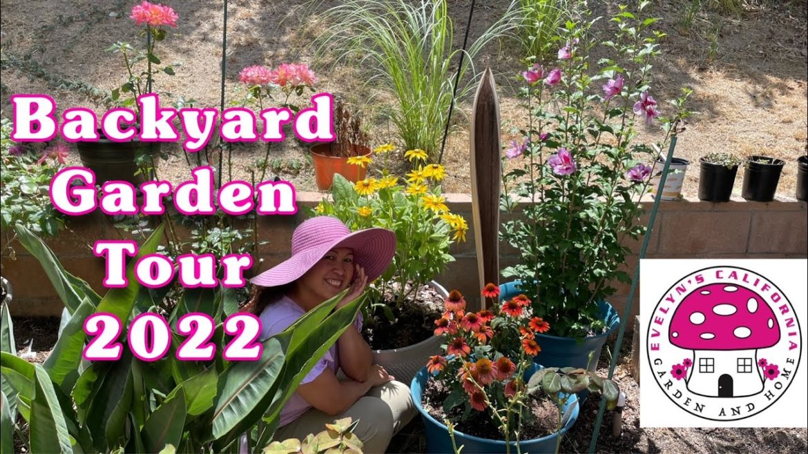 Backyard Garden Tour 2022|#Zone10a Gardening Backyard Garden Tour 2022|#Zone10a Gardening
