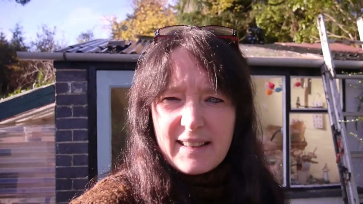 Wildwood Cottage Diary November garden Tour & plans for next year #gardentour #gardener #cottagelife Wildwood Cottage Diary November garden Tour & plans for next year #gardentour #gardener #cottagelife