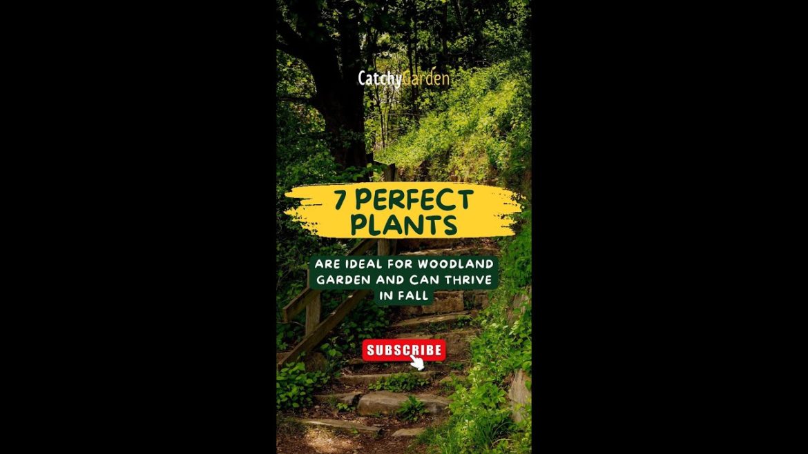 7 Perfect Plants Are Ideal For Woodland Garden and Can Thrive in Fall 🌴🌷 // #short #shortsvideo