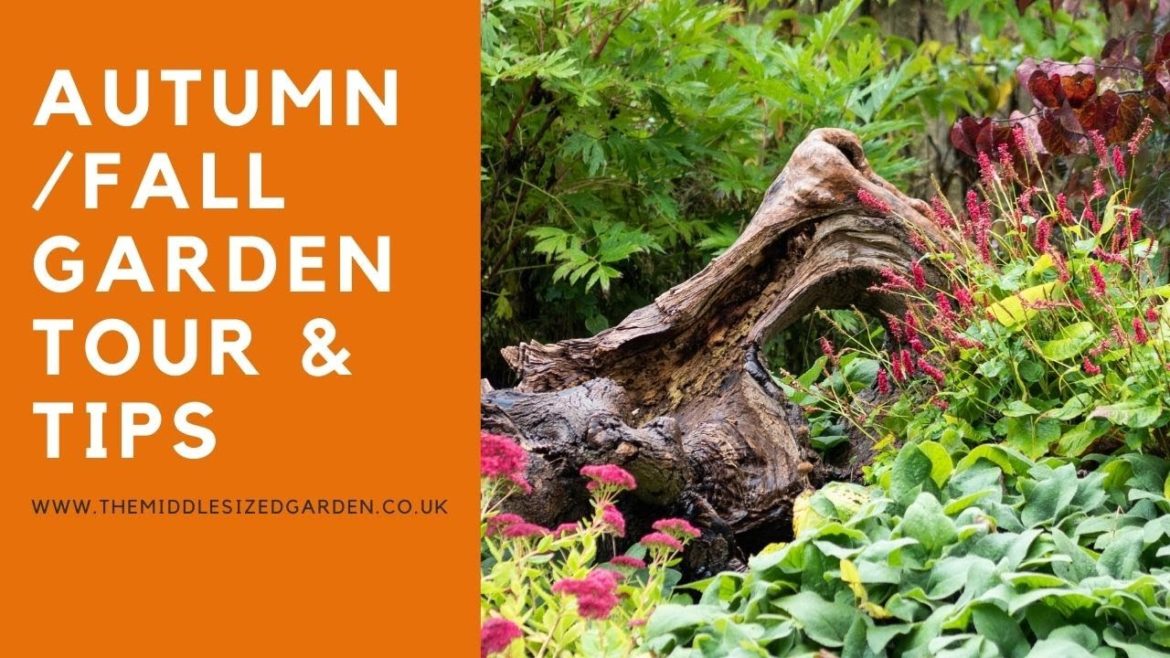 What to do in your garden in autumn…expert tips What to do in your garden in autumn...expert tips