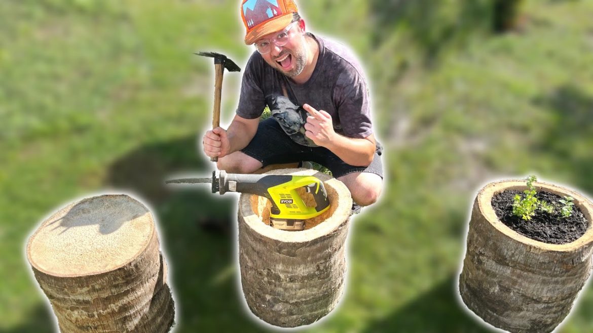 How to Make PALM TREE Log Planters For Your Garden // EASY DIY How to Make PALM TREE Log Planters For Your Garden // EASY DIY