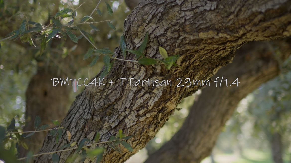 BMPCC4K + Ttartisan 23mm F/1.4 OUTDOOR TEST BMPCC4K + Ttartisan 23mm F/1.4 OUTDOOR TEST