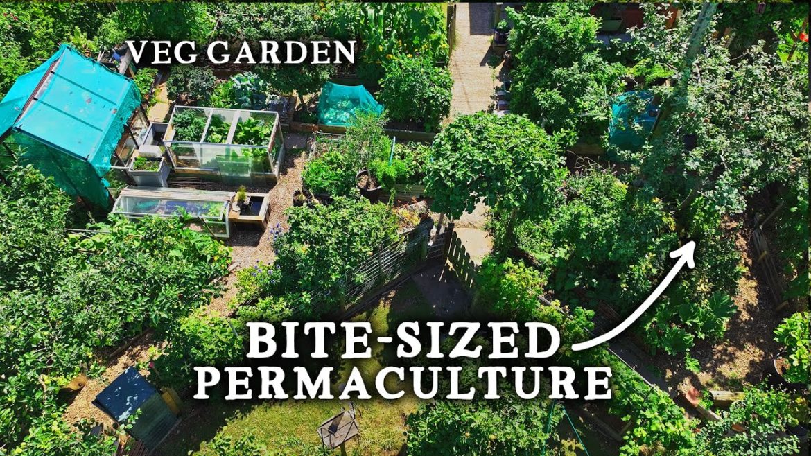 Huw Richards: Stunning TINY Permaculture Backyard Kitchen Garden (With 30 Fruit Trees!) Stunning TINY Permaculture Backyard Kitchen Garden (With 30 Fruit Trees!)
