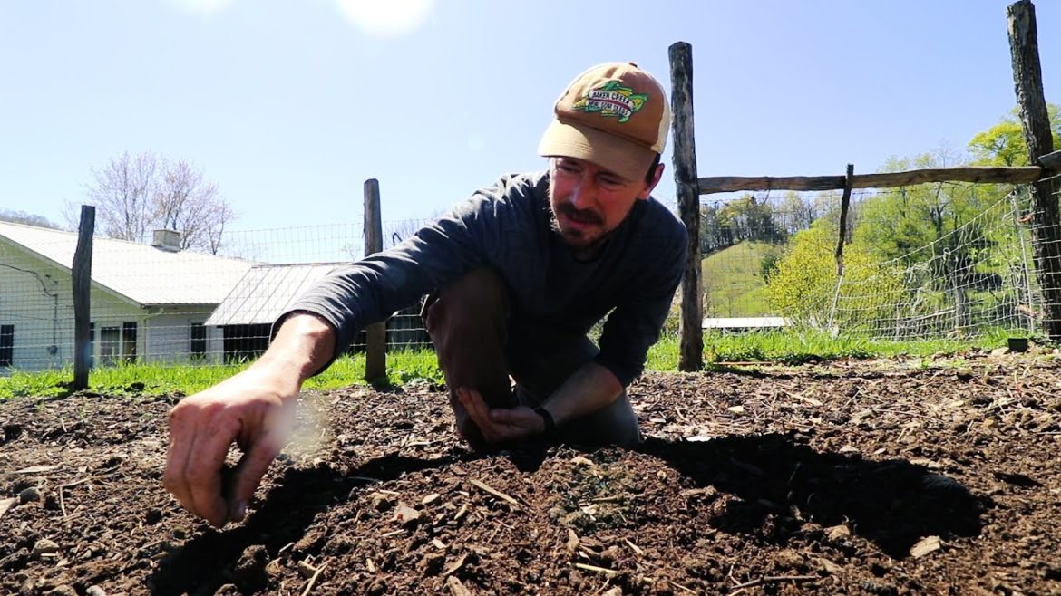Planting A YEARS WORTH of CARROTS In Our Backyard Garden Planting A YEARS WORTH of CARROTS In Our Backyard Garden