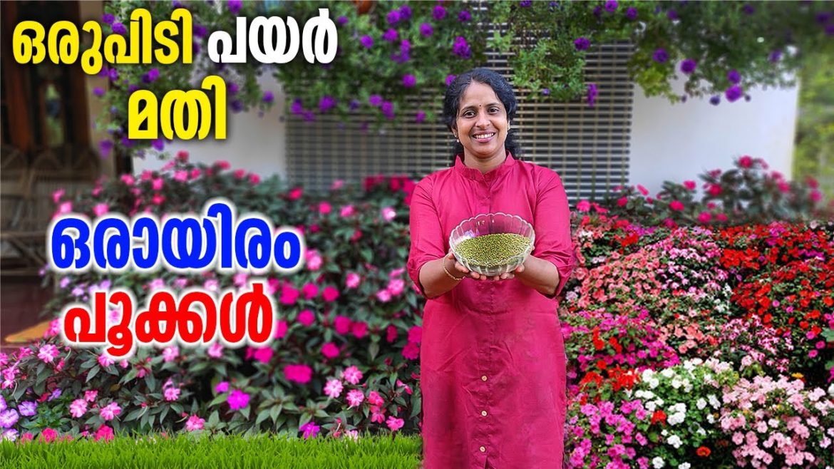 വീട്ടിലുള്ള ഇതുമതി പൂക്കൾ കൊണ്ട് പുന്തോട്ടം നിറക്കാം |garden full of flowers