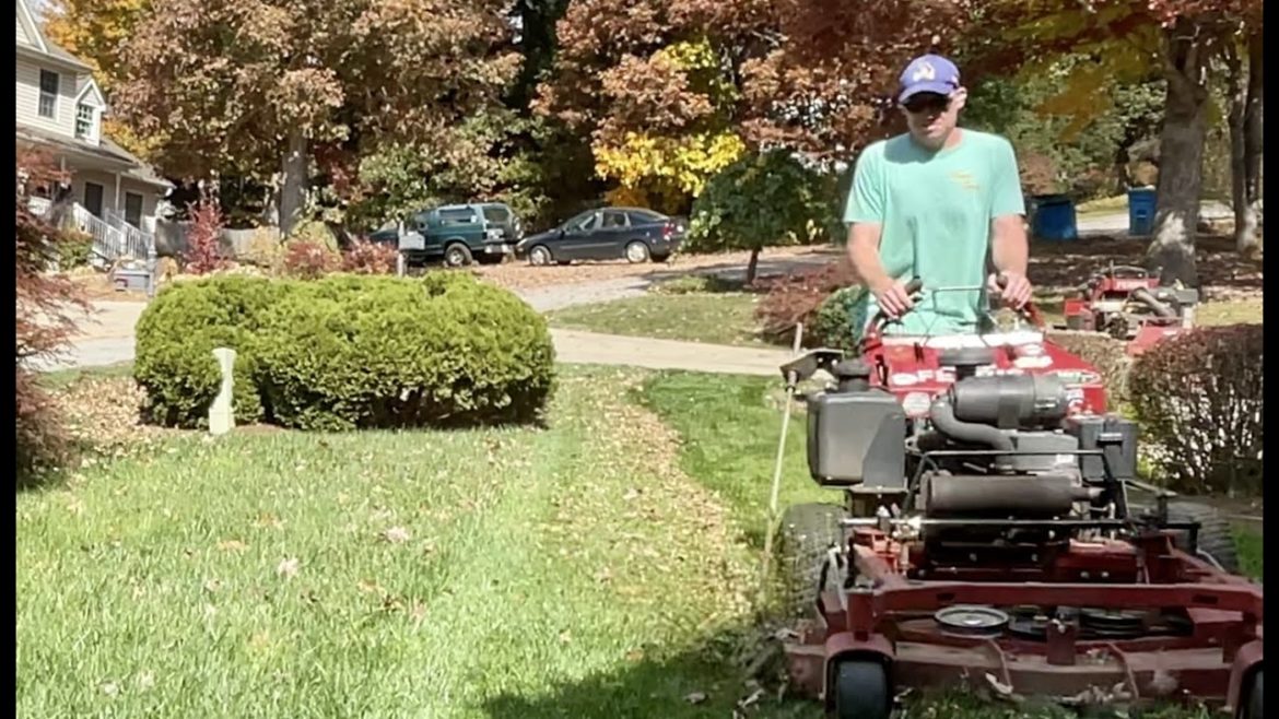 LEAVES ARE FOOD FOR THE LAWN! Mowing the greenest lawn in the neighborhood!