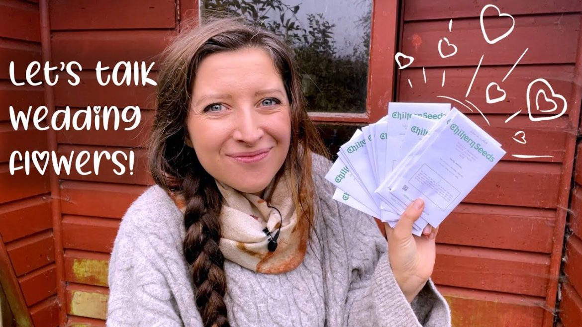 Growing my Own Weddings Flowers -  Part One - Seed Haul