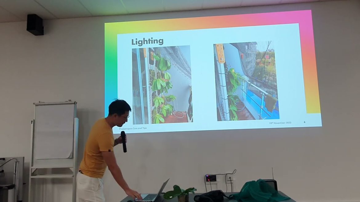 Phalaenopsis Care and Tips - 19th Nov 2022, at Gardener's Day Out, Hortpark Singapore