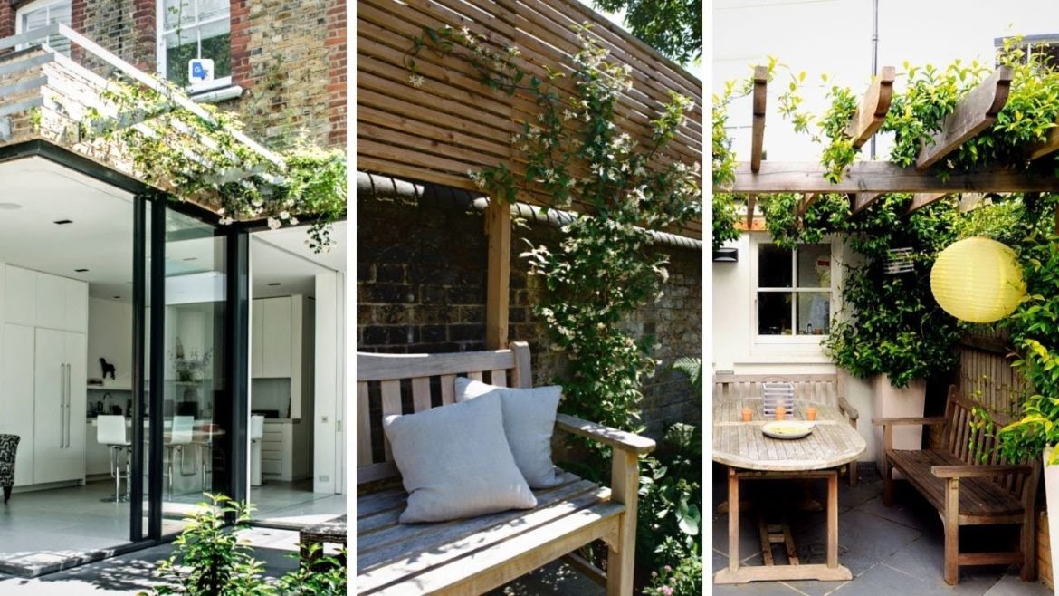 20+ Ideas for Supporting Climbing Plants Beautifully ππ – Home Garden Trends πππ 20+ Ideas for Supporting Climbing Plants Beautifully ππ - Home Garden Trends πππ