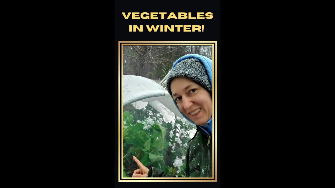8 Vegetables to Grow in Winter Garden