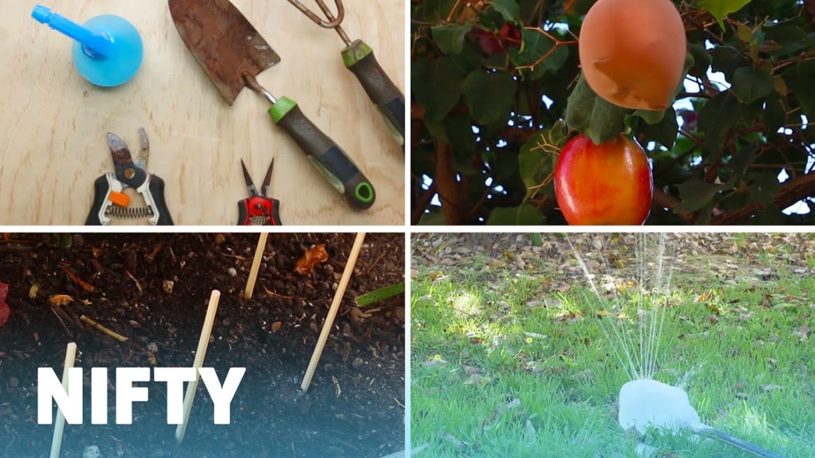 4 DIY Garden Tips And Tricks