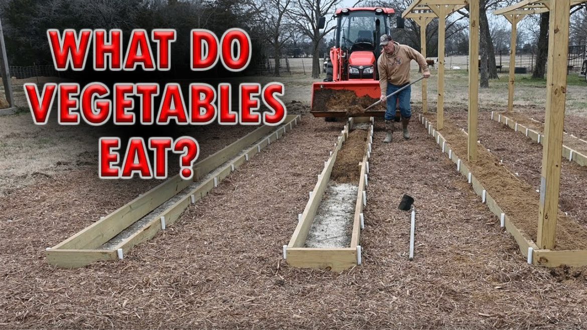 Adding Soil and Mulch to my Mittleider Backyard Garden | Episode 3 Adding Soil and Mulch to my Mittleider Backyard Garden | Episode 3