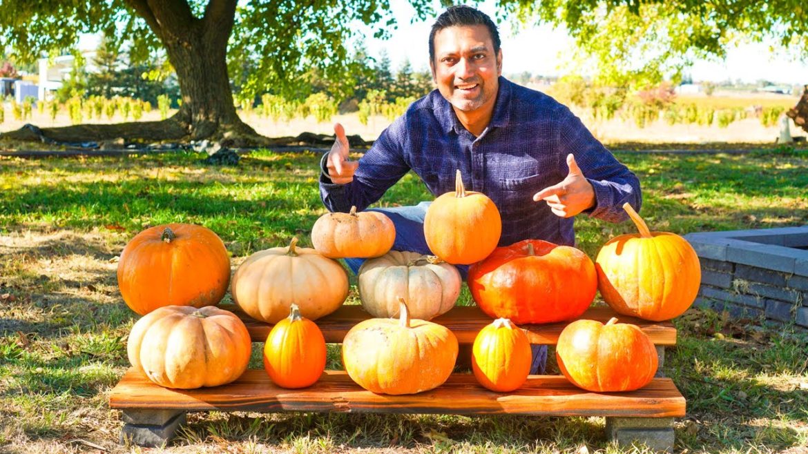 You Must Have These 7 Pumpkins for Fall and Thanksgiving