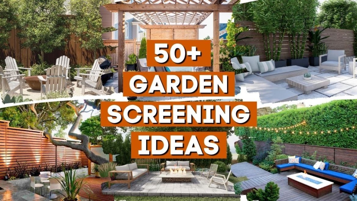 50+ Stunning Garden Screening Ideas That Provide Extra Privacy 👀👌👍