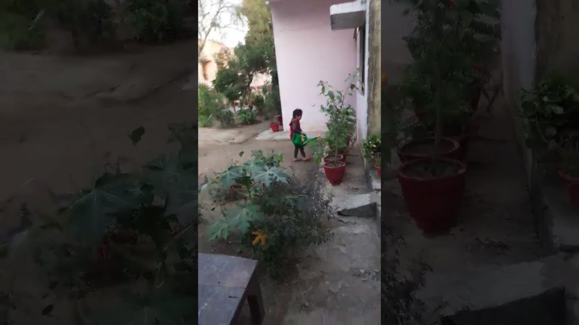 little champ 🏆🏆 miss gardener#viralshorts#viralvideo#vlogs