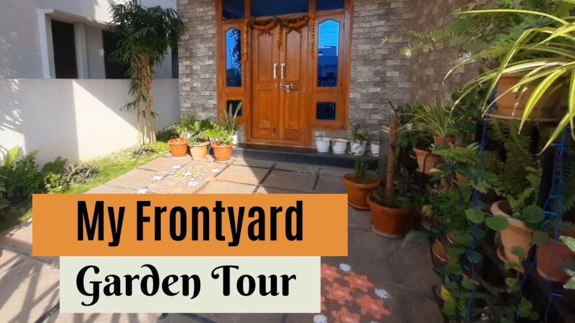 Frontyard Garden Tour/ My Garden Tour Frontyard Garden Tour/ My Garden Tour