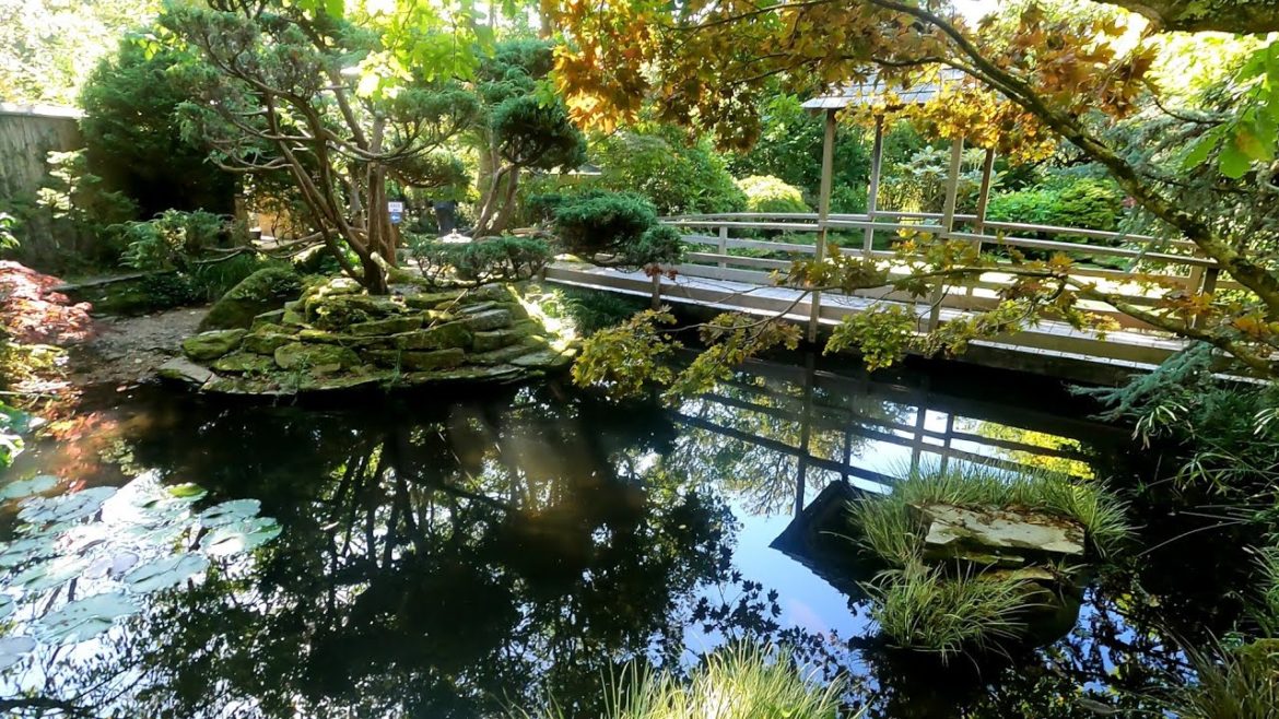 The Japanese Garden, Cornwall UK The Japanese Garden, Cornwall UK