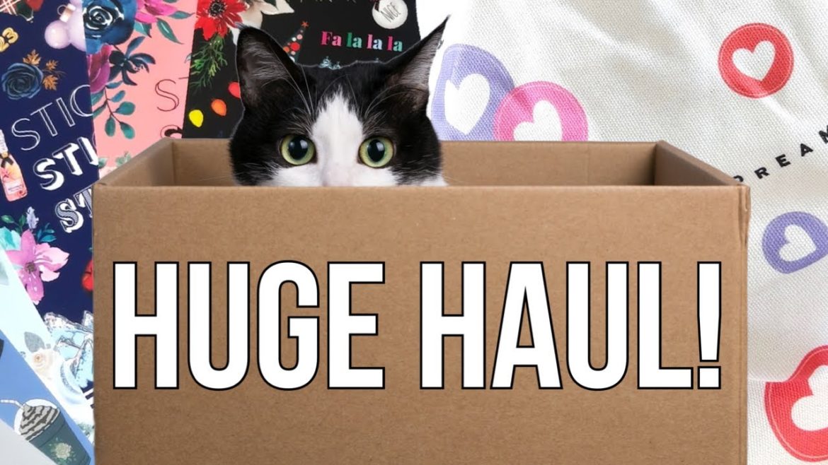 HUGE Planner Supply Haul - Unboxing New Goodies! Happy Planner Mystery Bag + 5 Sticker Books - 2022