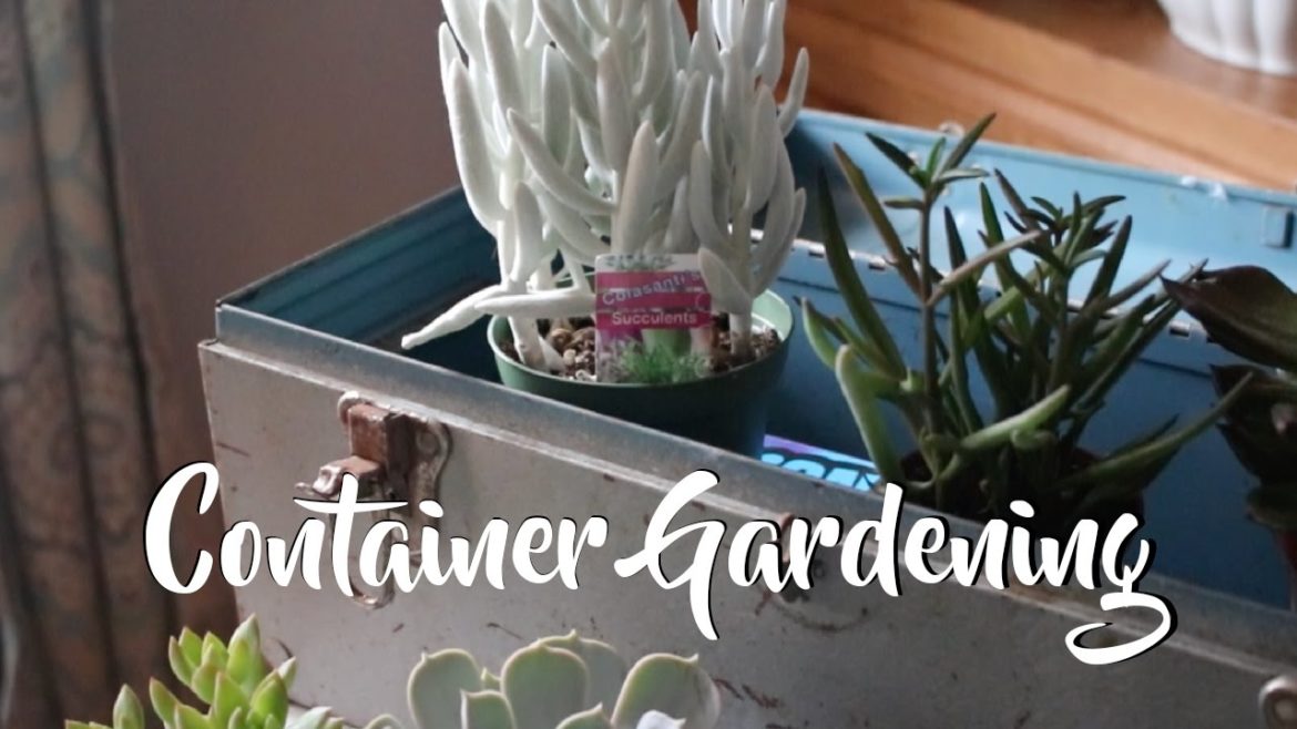 Container Gardening Tips